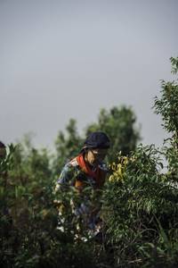 BIB: 
                            <button type="button" onclick="openModal(24733847)" class="btn btn-primary btn-sm float-right btn-popup" data-toggle="modal" data-target=".modal-high-quality">
                        <i class="fas fa-shopping-cart"></i> Add to Cart
                    </button>
                                            <button type="button" onclick="isThisMe(24733847, true)" class="btn btn-success btn-sm float-right btn-popup btn-isme hidden" data-toggle="tooltip" data-placement="bottom" title="นี่คือรูปของคุณใช่ไหม คลิกที่นี่เพื่อเอาเข้าอัลบั้ม">
                        <i class="fas fa-plus"></i> Add to album
                    </button>
                    <button type="button" onclick="isThisMe(24733847, false)" class="btn btn-warning btn-sm float-right btn-popup btn-isnotme hidden">
                        <i class="fas fa-ban"></i> Remove from album
                    </button>